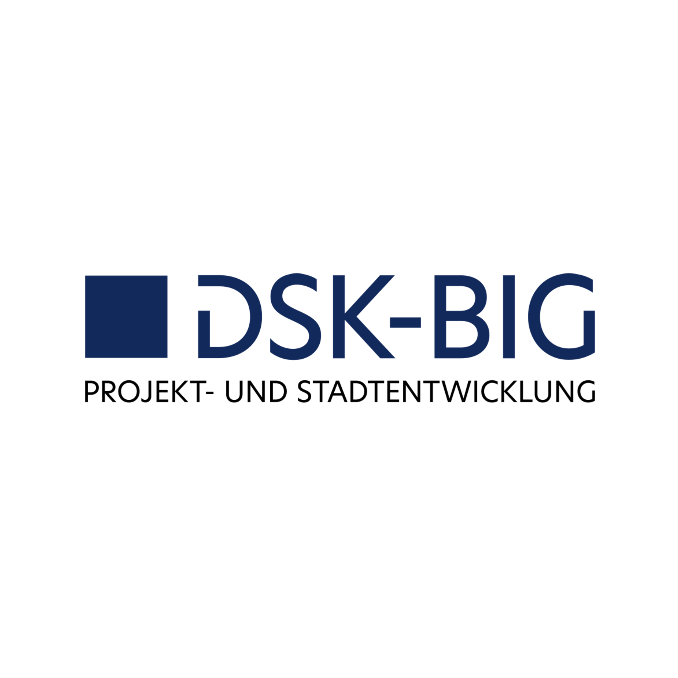DSK-BIG Logo